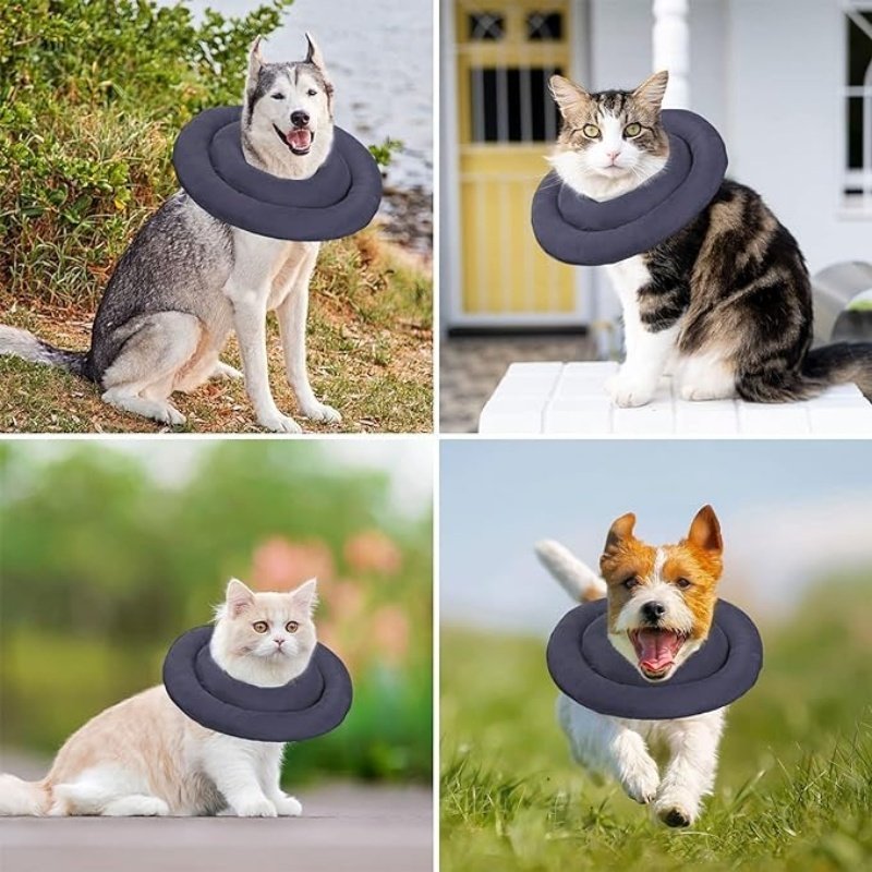 adjustable waterproof recovery collar for pets lightweight comfortable anti-licking anti scratch