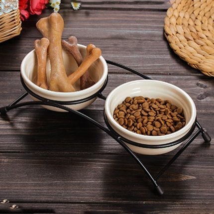 set of 2 ceramic pet bowls with non slip iron base easy to clean fun design