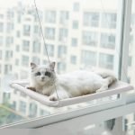 hanging pet cat hammock bed sturdy steel wire & breathable oxford fabric