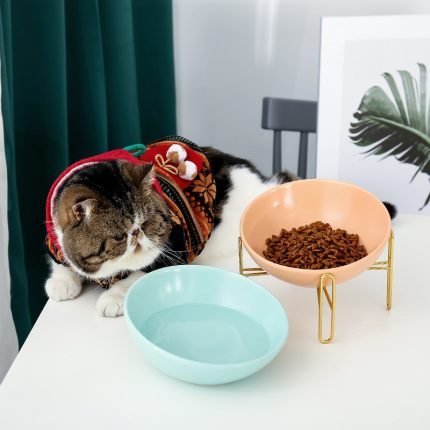 double pet bowls dog food water feeder ceramic pet drinking dish feeder cat puppy feeding supplies