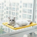 hanging pet cat hammock bed sturdy steel wire & breathable oxford fabric