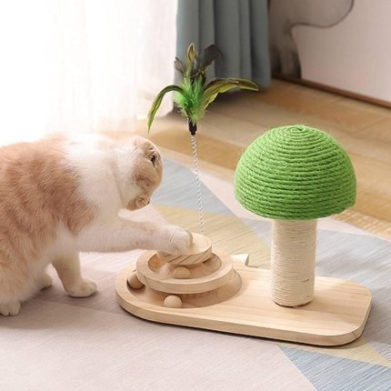 interactive wooden mushroom cat scratching toy with rotating disc scratcher