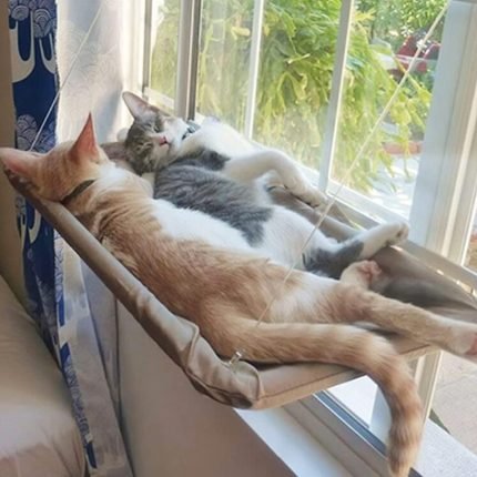 hanging pet cat hammock bed sturdy steel wire & breathable oxford fabric