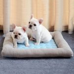 pet bed with built in cooling pad dogs cats cooling mat summer