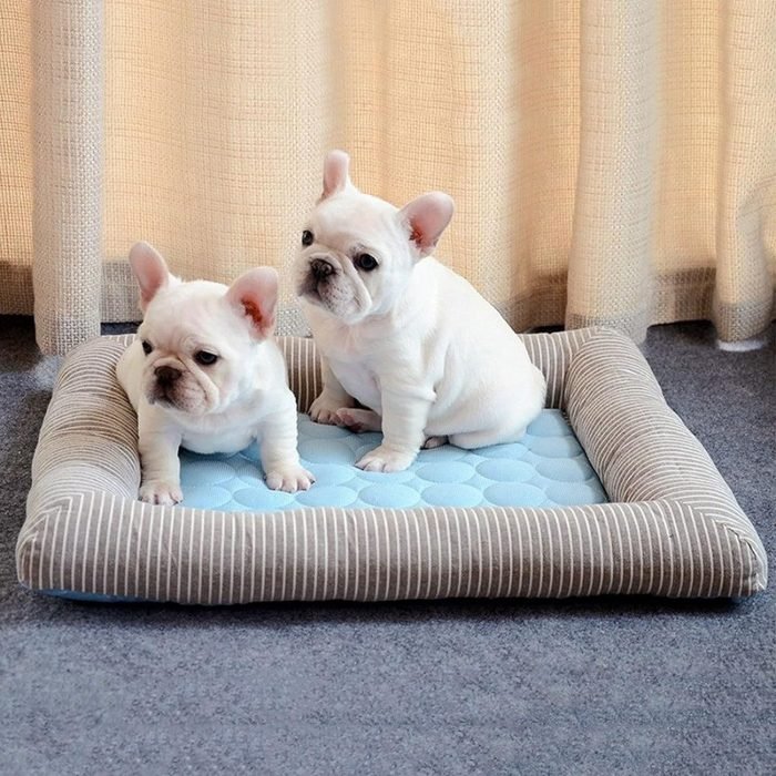 pet bed with built in cooling pad dogs cats cooling mat summer