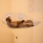 suction cup window glass hanging suspension cat hammock bed