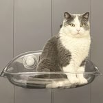 suction cup window glass hanging suspension cat hammock bed