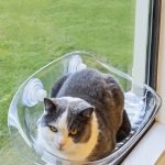 suction cup window glass hanging suspension cat hammock bed
