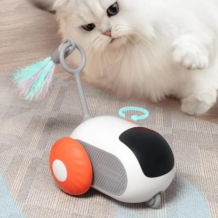 interactive remote controlled pet cat toy automatic self moving smart play mode