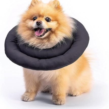 adjustable waterproof recovery collar for pets lightweight comfortable anti-licking anti scratch