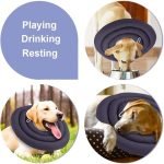 adjustable waterproof recovery collar for pets lightweight comfortable anti-licking anti scratch