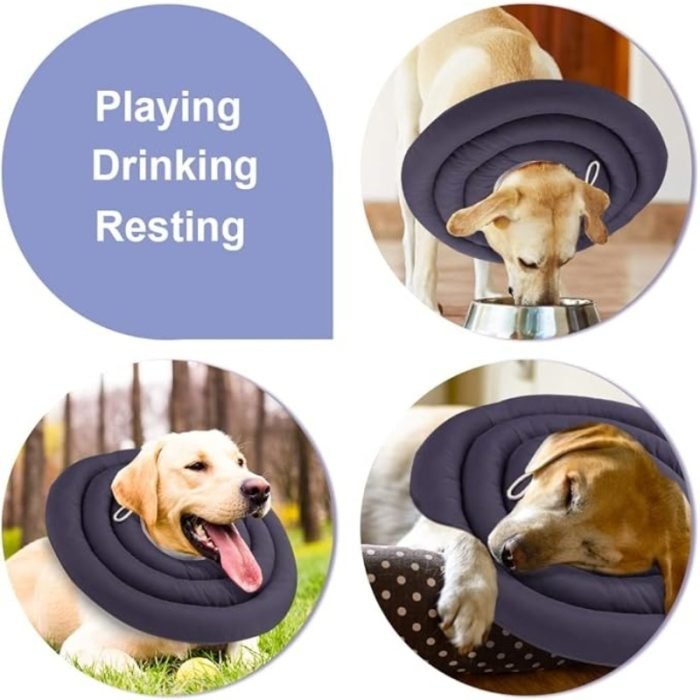 adjustable waterproof recovery collar for pets lightweight comfortable anti-licking anti scratch